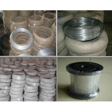 Guter Preis Electro Galvanized Iron Wire